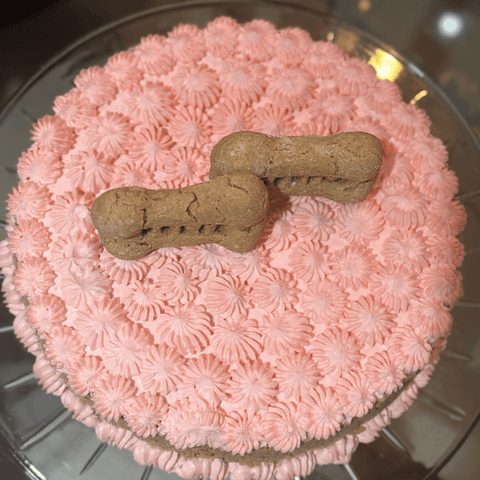 Pastel de cumpleaños para perro