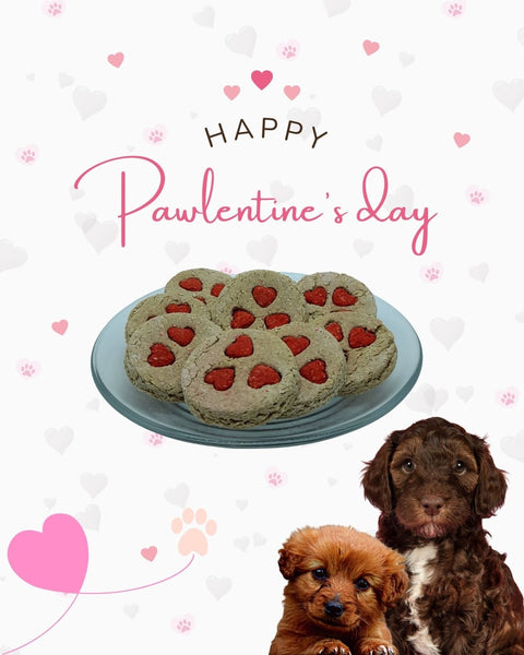 Galletas de Temporada Pawlentine <3