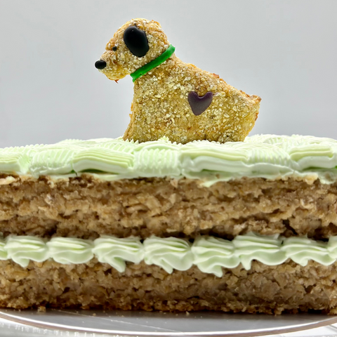 pastel-para-perritos-relleno-mediano-bonbet-3